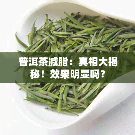 普洱茶减脂：真相大揭秘！效果明显吗？