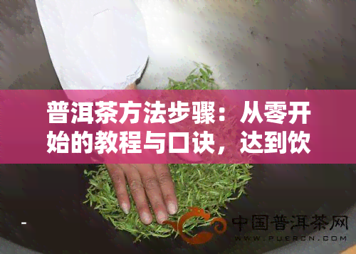 普洱茶方法步骤：从零开始的教程与口诀，达到饮用效果