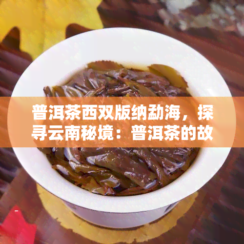 普洱茶西双版纳勐海，探寻云南秘境：普洱茶的故乡——西双版纳勐海