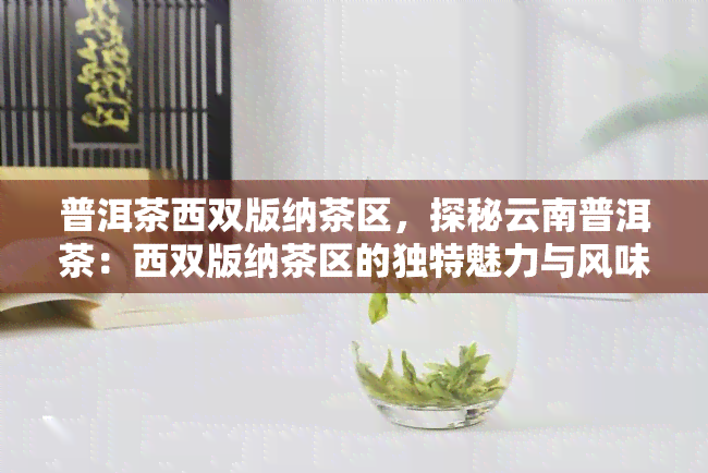 普洱茶西双版纳茶区，探秘云南普洱茶：西双版纳茶区的独特魅力与风味