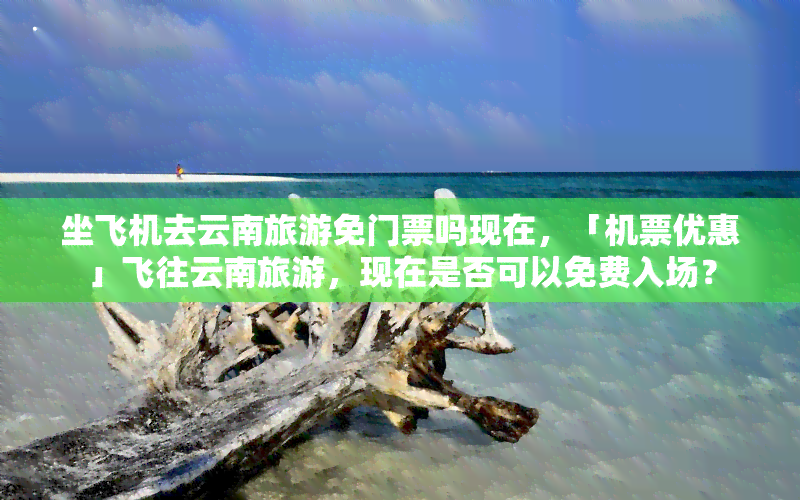 坐飞机去云南旅游免门票吗现在，「机票优惠」飞往云南旅游，现在是否可以免费入场？