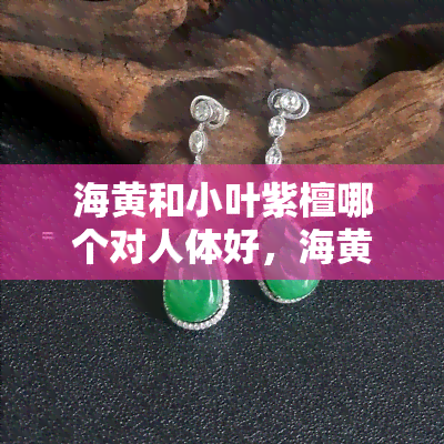 海黄和小叶紫檀哪个对人体好，海黄与小叶紫檀：哪种木材对身体更有益？