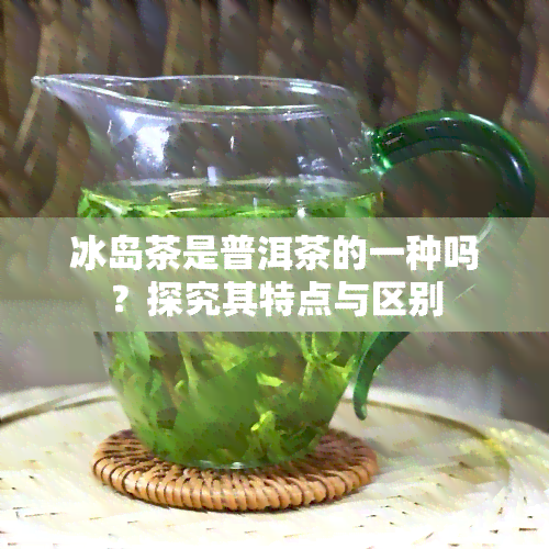 冰岛茶是普洱茶的一种吗？探究其特点与区别