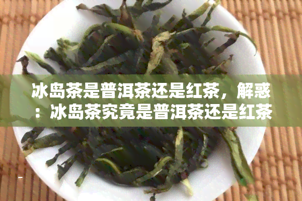 冰岛茶是普洱茶还是红茶，解惑：冰岛茶究竟是普洱茶还是红茶？