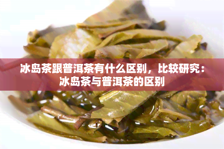 冰岛茶跟普洱茶有什么区别，比较研究：冰岛茶与普洱茶的区别