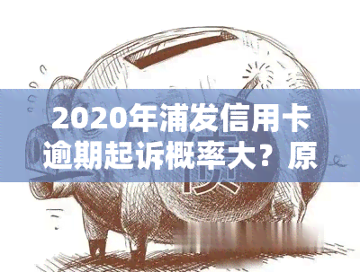 2020年浦发信用卡逾期起诉概率大？原因及政策解析