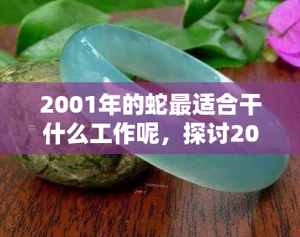 2001年的蛇最适合干什么工作呢，探讨2001年出生的属蛇者的职业选择