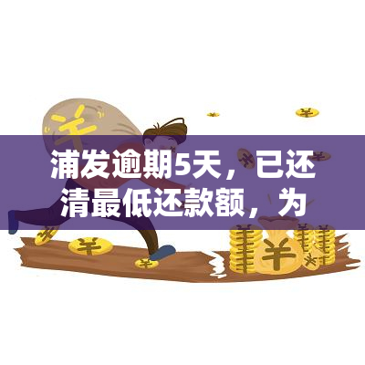 浦发逾期5天，已还清更低还款额，为何仍需全额还款？客服与说法不一