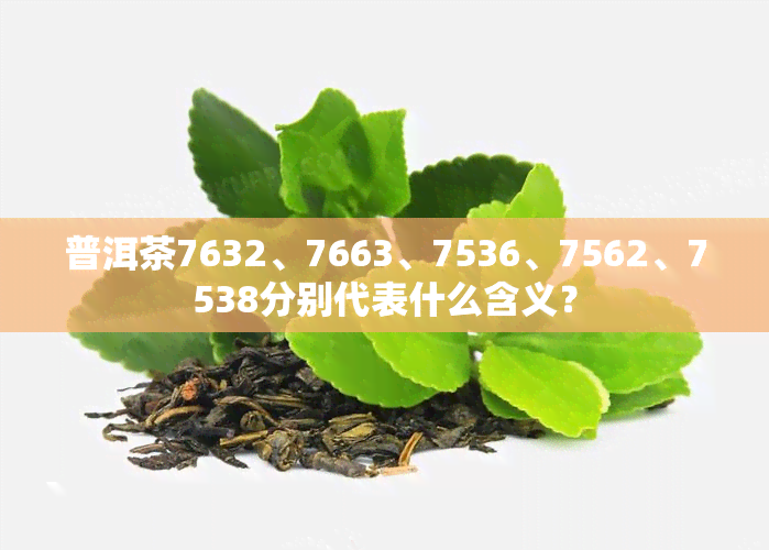 普洱茶7632、7663、7536、7562、7538分别代表什么含义？