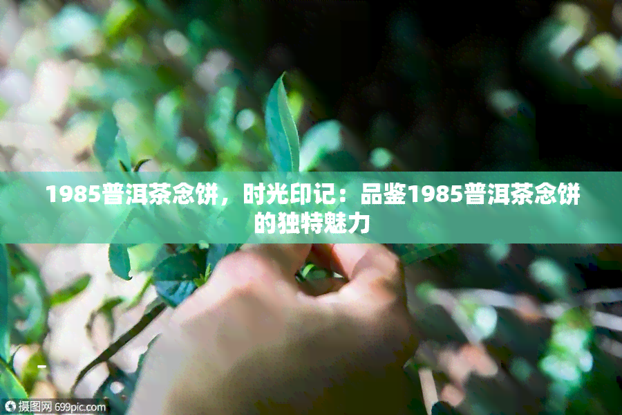 1985普洱茶念饼，时光印记：品鉴1985普洱茶念饼的独特魅力