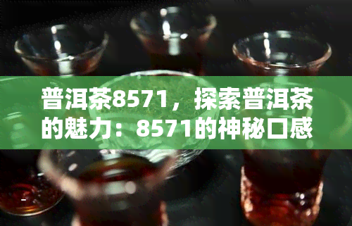 普洱茶8571，探索普洱茶的魅力：8571的神秘口感与历背景