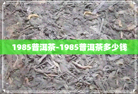 1985普洱茶-1985普洱茶多少钱