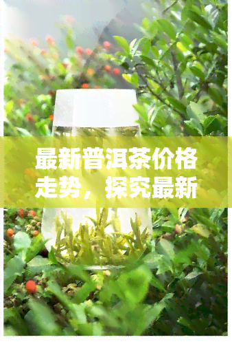 最新普洱茶价格走势，探究最新普洱茶价格走势：收藏家和投资者必读