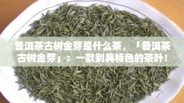 普洱茶古树金芽是什么茶，「普洱茶古树金芽」：一款别具特色的茶叶！