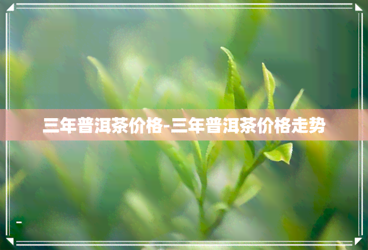 三年普洱茶价格-三年普洱茶价格走势