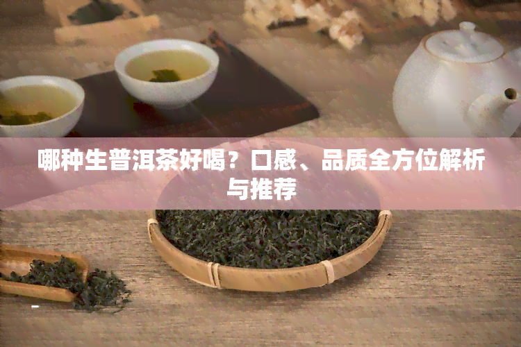 哪种生普洱茶好喝？口感、品质全方位解析与推荐