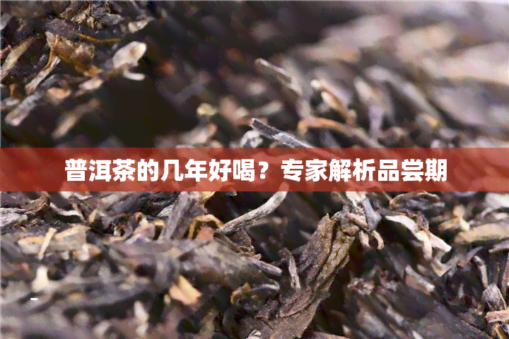 普洱茶的几年好喝？专家解析品尝期