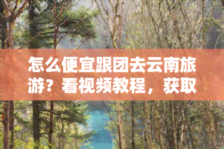 怎么便宜跟团去云南旅游？看视频教程，获取攻略！