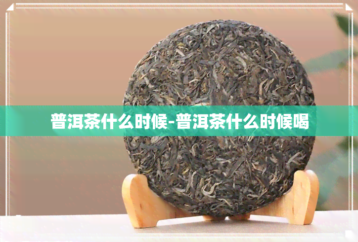 普洱茶什么时候-普洱茶什么时候喝