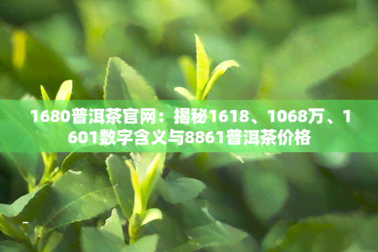 1680普洱茶官网：揭秘1618、1068万、1601数字含义与8861普洱茶价格