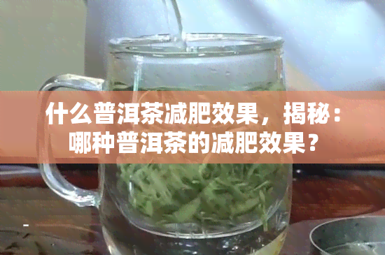 什么普洱茶减肥效果，揭秘：哪种普洱茶的减肥效果？