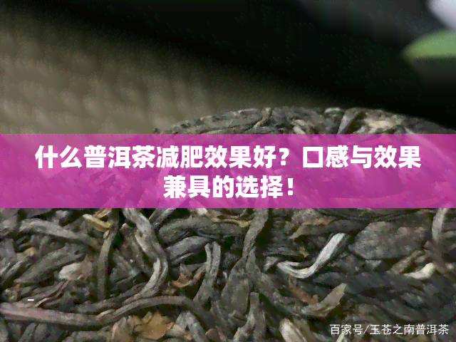 什么普洱茶减肥效果好？口感与效果兼具的选择！