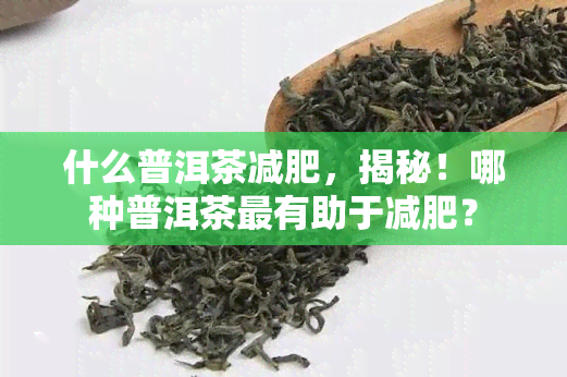 什么普洱茶减肥，揭秘！哪种普洱茶最有助于减肥？