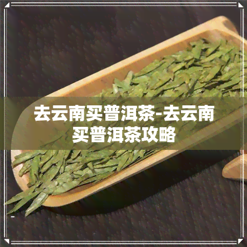 去云南买普洱茶-去云南买普洱茶攻略