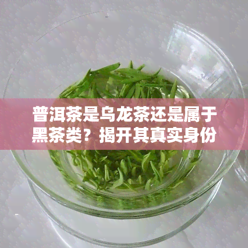 普洱茶是乌龙茶还是属于黑茶类？揭开其真实身份