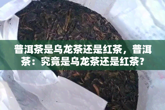 普洱茶是乌龙茶还是红茶，普洱茶：究竟是乌龙茶还是红茶？