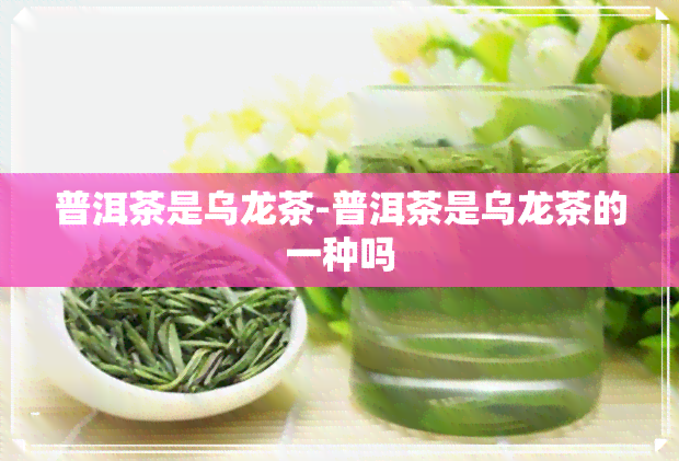 普洱茶是乌龙茶-普洱茶是乌龙茶的一种吗