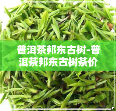 普洱茶邦东古树-普洱茶邦东古树茶价格