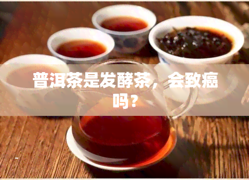 普洱茶是发酵茶，会致癌吗？