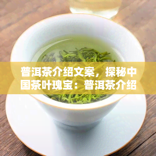 普洱茶介绍文案，探秘中国茶叶瑰宝：普洱茶介绍与评测