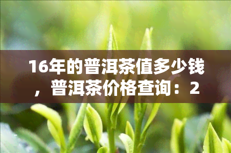 16年的普洱茶值多少钱，普洱茶价格查询：2016年普洱茶目前市场价值多少？