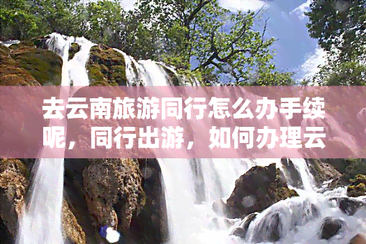 去云南旅游同行怎么办手续呢，同行出游，如何办理云南旅游手续？