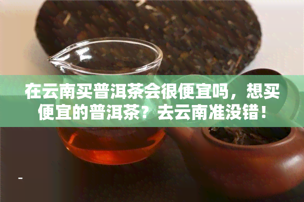 在云南买普洱茶会很便宜吗，想买便宜的普洱茶？去云南准没错！