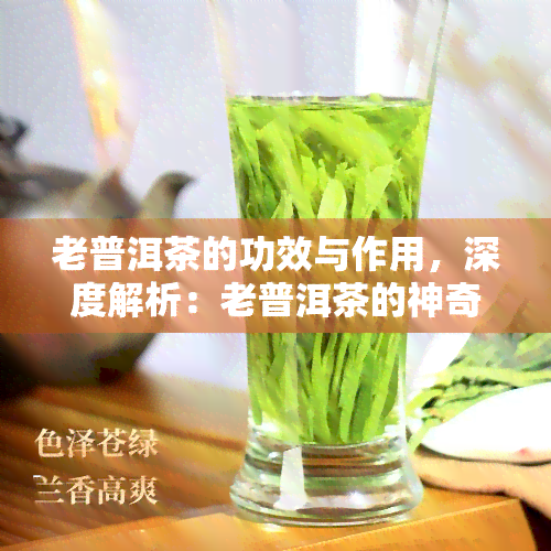 老普洱茶的功效与作用，深度解析：老普洱茶的神奇功效与作用