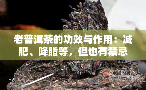 老普洱茶的功效与作用：减肥、降脂等，但也有禁忌需注意