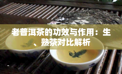 老普洱茶的功效与作用：生、熟茶对比解析