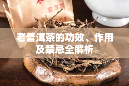 老普洱茶的功效、作用及禁忌全解析