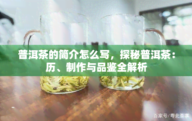 普洱茶的简介怎么写，探秘普洱茶：历、制作与品鉴全解析