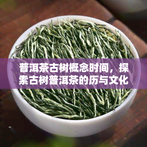 普洱茶古树概念时间，探索古树普洱茶的历与文化价值