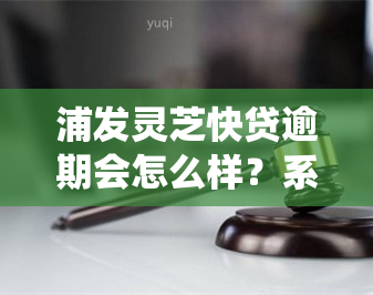 浦发灵芝快贷逾期会怎么样？系统维护、担保费能否退还？为何暂停服务？客服电话是多少？