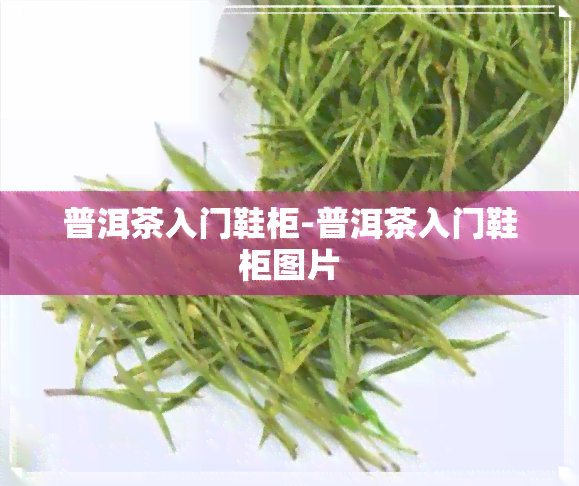 普洱茶入门鞋柜-普洱茶入门鞋柜图片