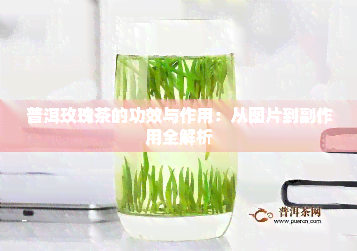 普洱玫瑰茶的功效与作用：从图片到副作用全解析