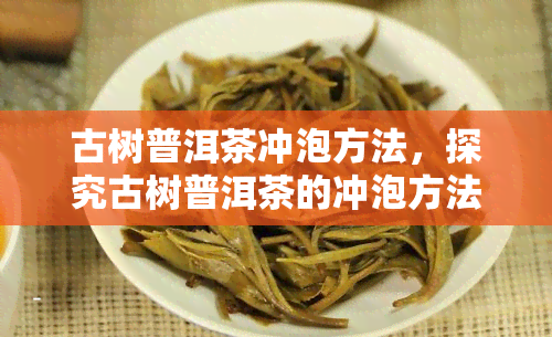 古树普洱茶冲泡方法，探究古树普洱茶的冲泡方法与技巧