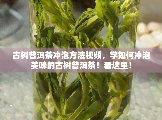 古树普洱茶冲泡方法视频，学如何冲泡美味的古树普洱茶！看这里！