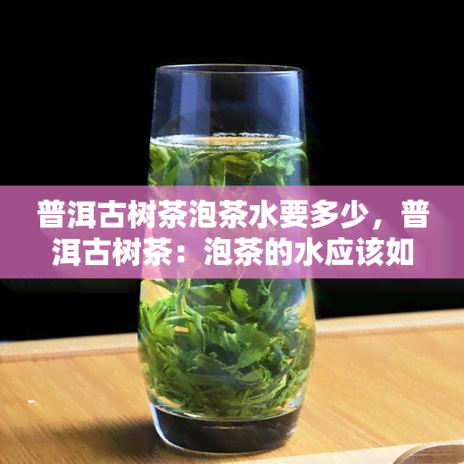 普洱古树茶泡茶水要多少，普洱古树茶：泡茶的水应该如何掌握？