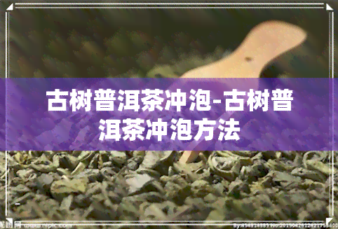 古树普洱茶冲泡-古树普洱茶冲泡方法